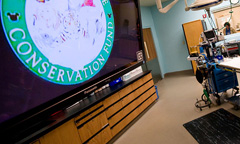 Conservation Station