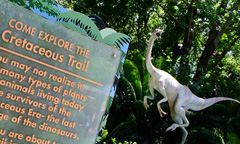 Cretaceous Trail