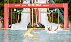 Downhill Double Dipper Downhill Double Dipper