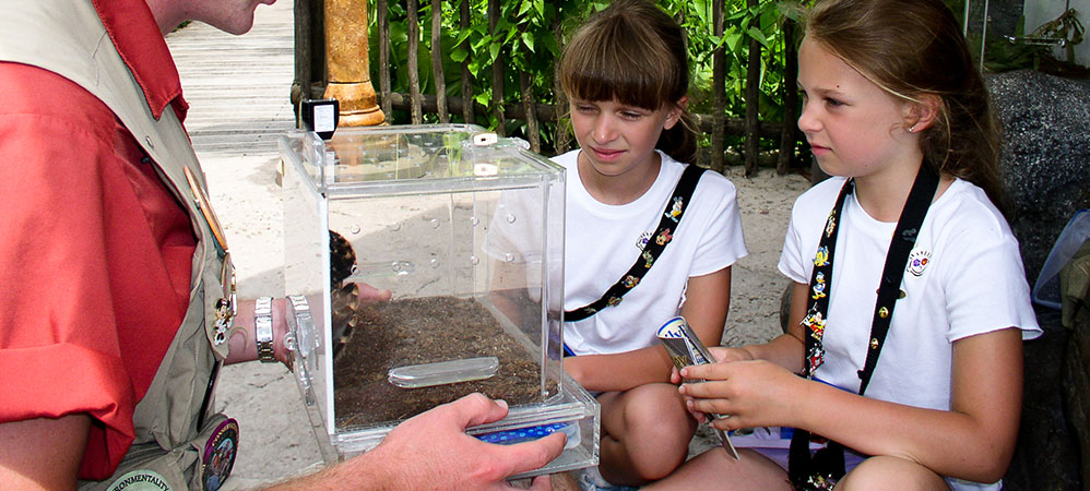 Kids Discovery Clubs
