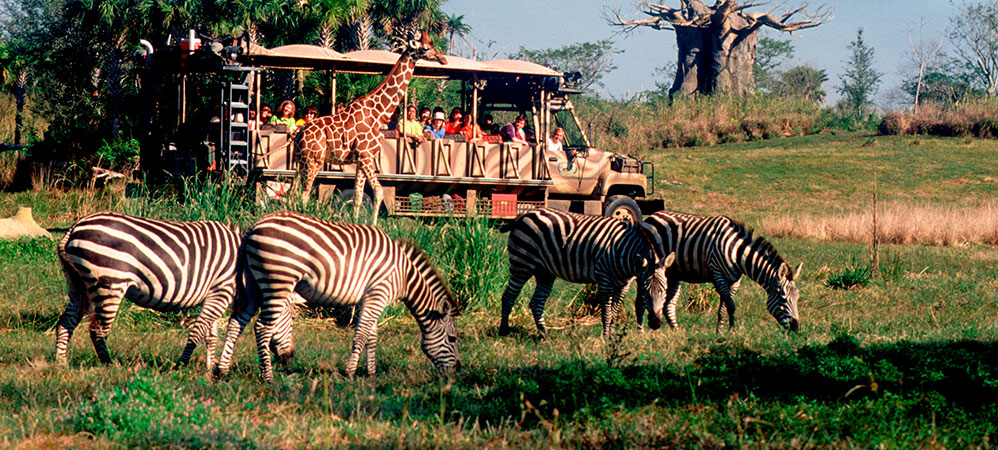 Kilimanjaro Safaris
