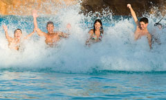 Surf Pool