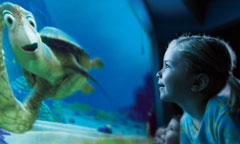 Turtle Talk with Crush Turtle Talk with Crush