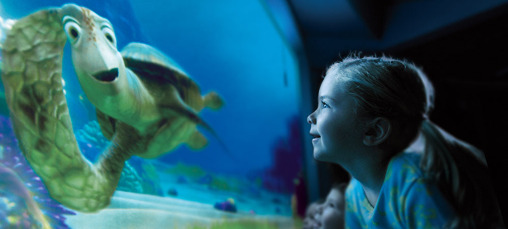 Turtle Talk with Crush Turtle Talk with Crush