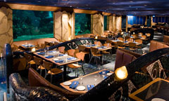 Coral Reef Restaurant 