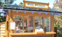 Blizzard Beach Mini Donuts