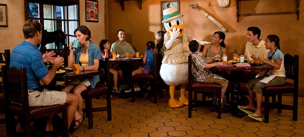 Donald's Breakfast Safari
