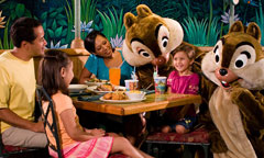 The Garden Grill Restaurant