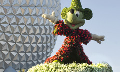 Epcot Flower & Garden Festival