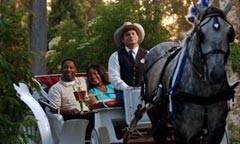 A horse pulls a carriage with a couple enjoying the old-fashioned ride.