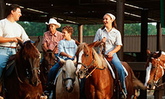 Tri-Circle-D Ranch & Farm / Stables