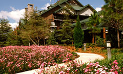 Disney's Wilderness Lodge