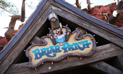 Briar Patch