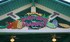 Toontown Farmer's Market Toontown Farmer's Market