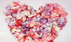 Flower petals arranged in the shape of a heart