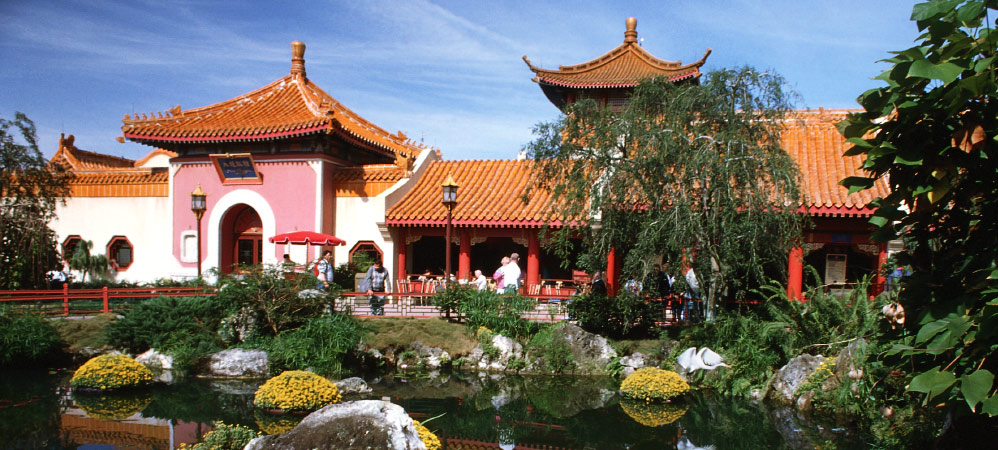 Nine Dragons - China Nine Dragons - China