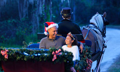 Holiday Sleigh Rides