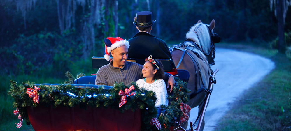 Holiday Sleigh Rides