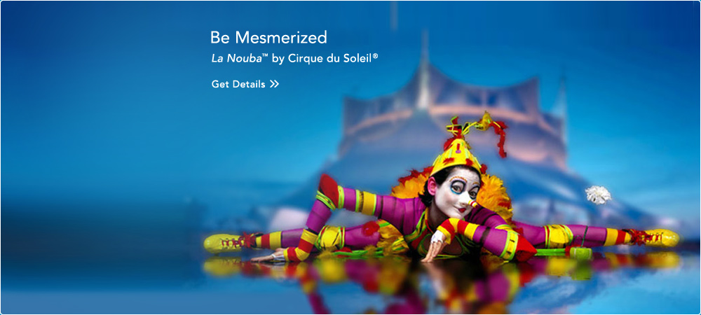 Become Mesmerized by La Nouba by Cirque du Soleil