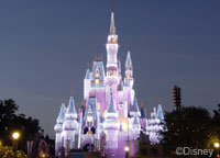 You Could Win A Stay In Cinderella Castle From HGTV