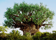 Disney's Animal Kingdom Park captoin Disney's Animal Kingdom Park alt text